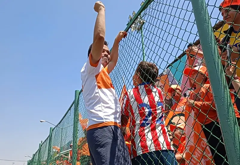 maynes-portada