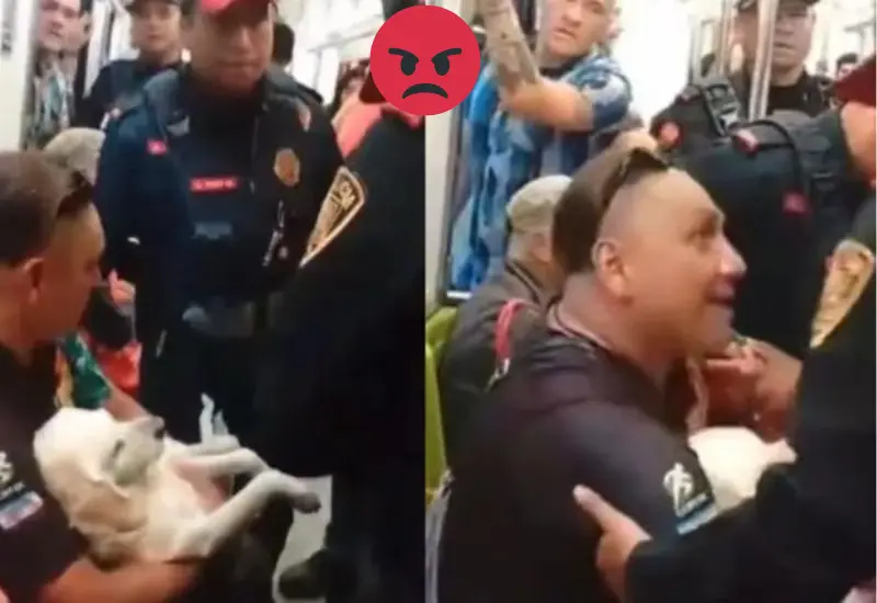 bajan_metro_dueño_perrito_lesionado