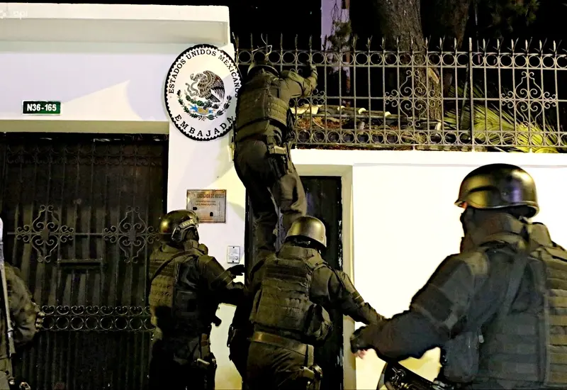 oea-portada