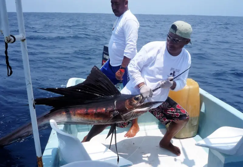 pesca-oaxaca