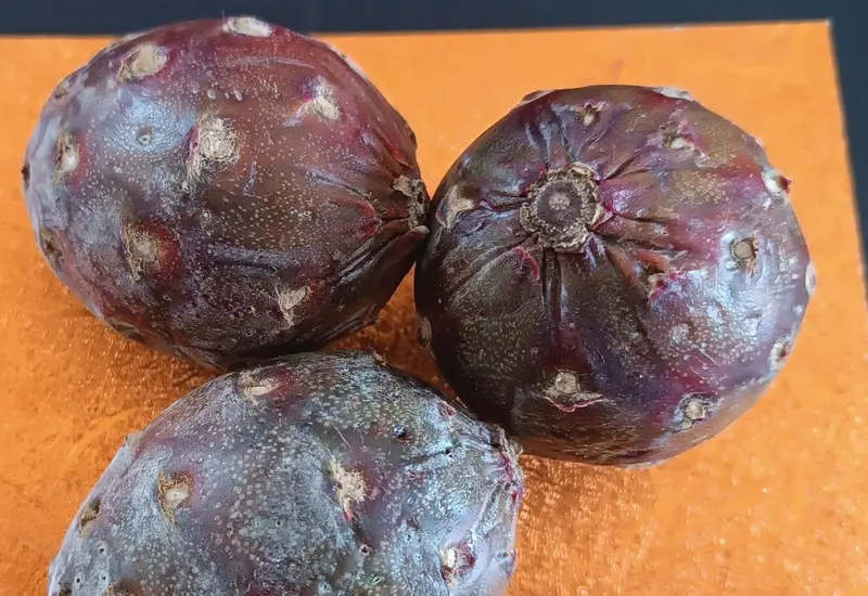 portada-fruta