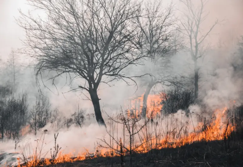 portada-incendio