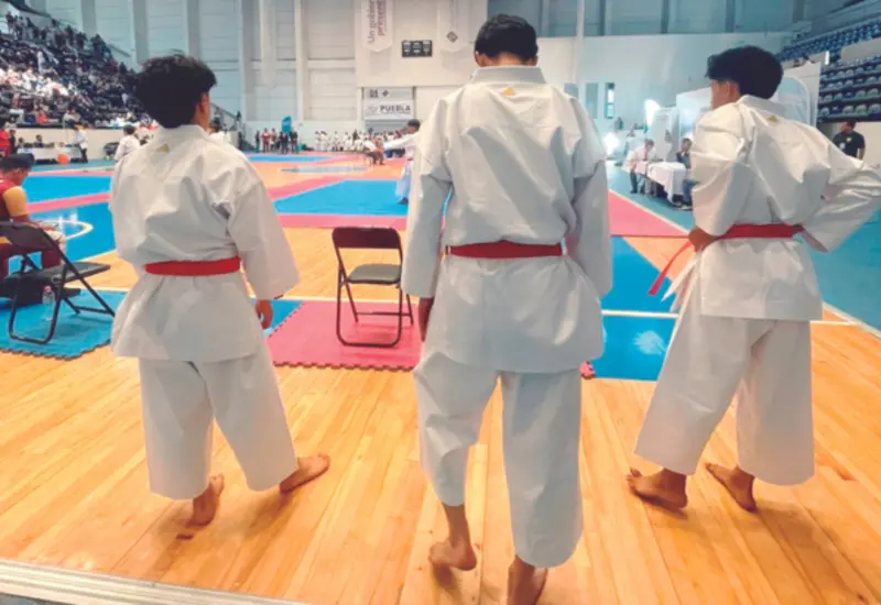 portada-karate