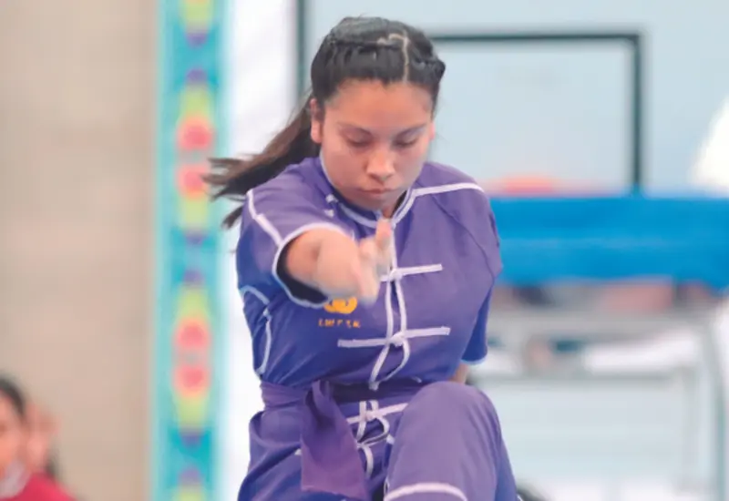 portada-wushu