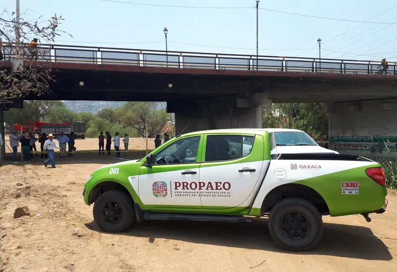 propaeo-oaxaca