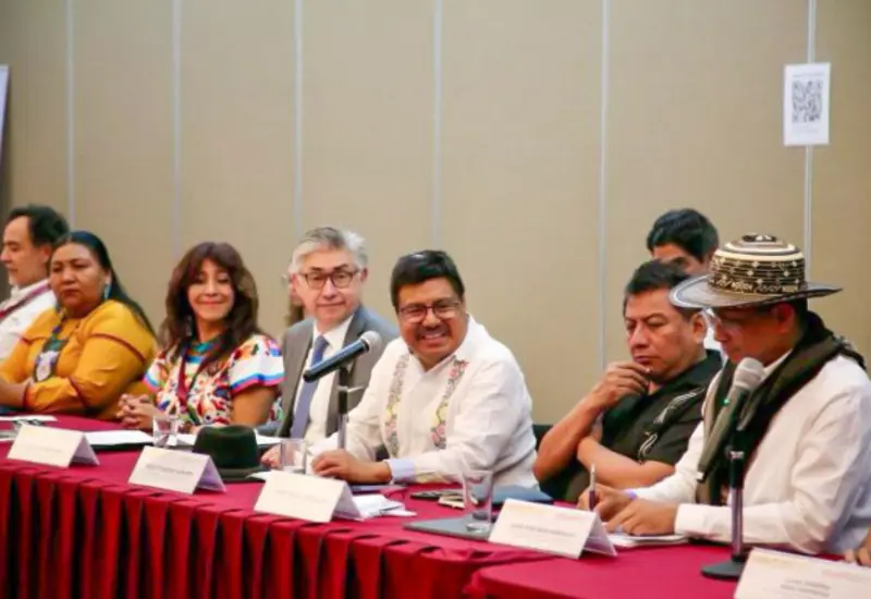 reforma-indigena