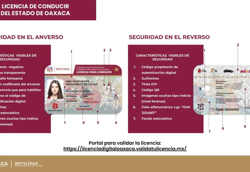 alertan_gestoria_licencias_falsas_oaxaca