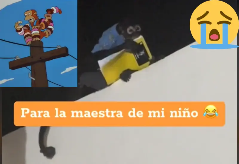 mono_roba_tarea_niño_
