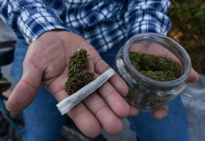 weed-oaxaca