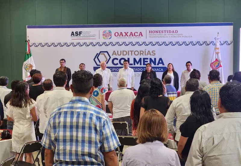 auditoria-colmena-oaxaca
