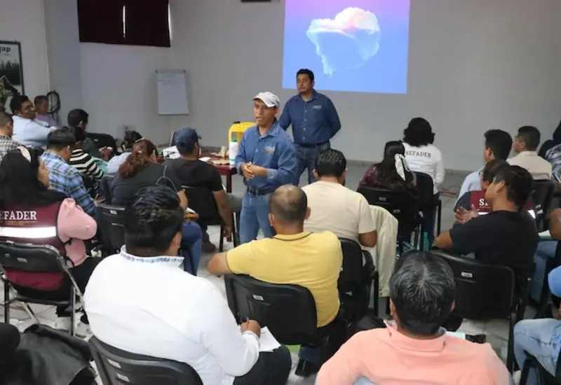 capacitan_personal_control_plagas_maiz 