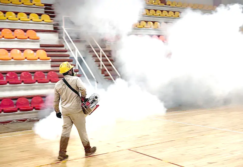 dengue