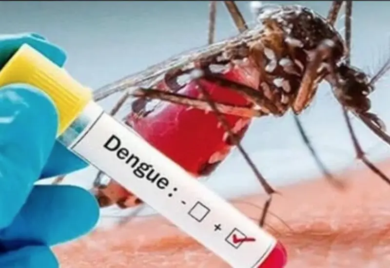 dengue