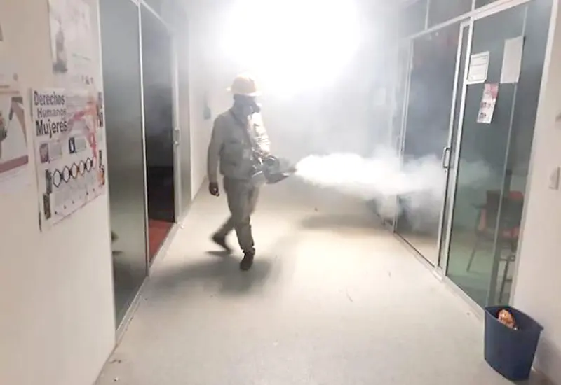 dengue
