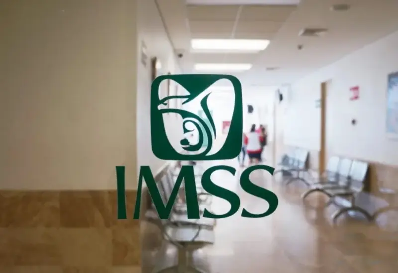 imss-portada