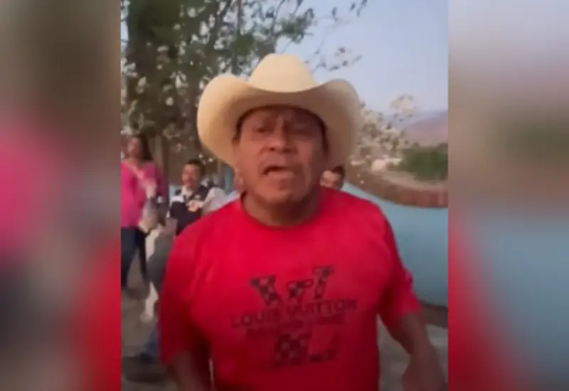 jaripeos