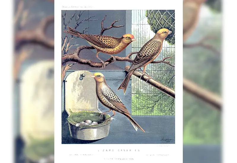 lecturas-vida-portada