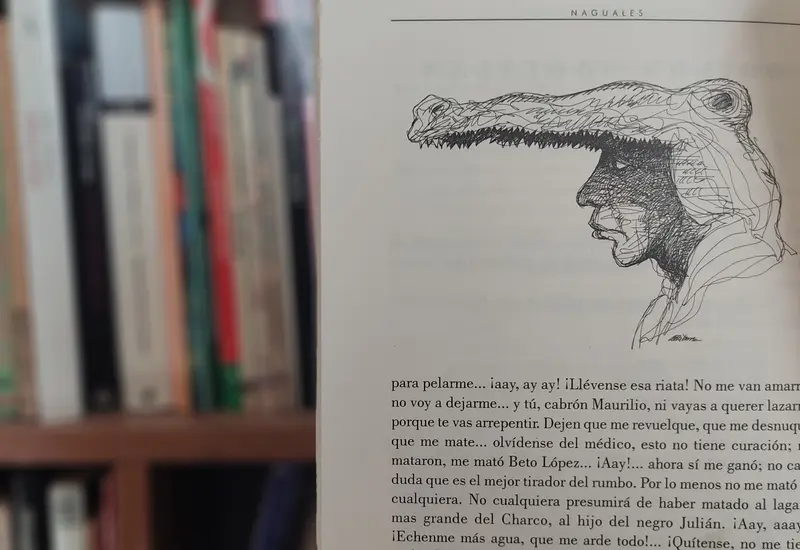 libro