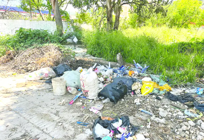 denuncian_muladar_santa_rosa_oaxaca