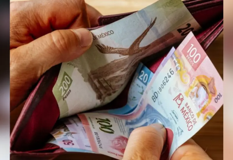 pension-dinero-cartera