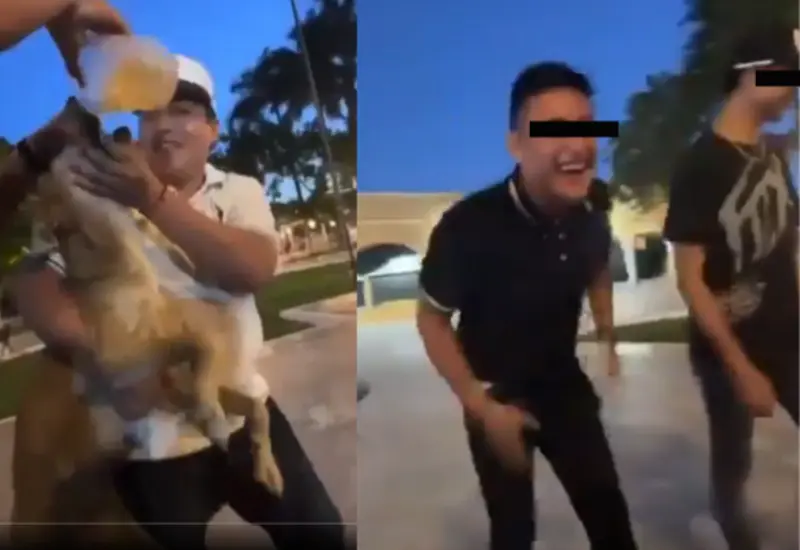perro-cerveza-portada
