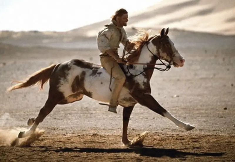 caballo