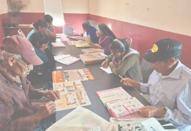 analfabetismo_oaxaca