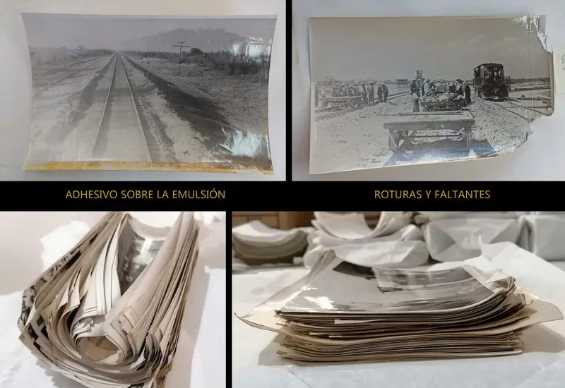 Deterioros detectados en la colección.