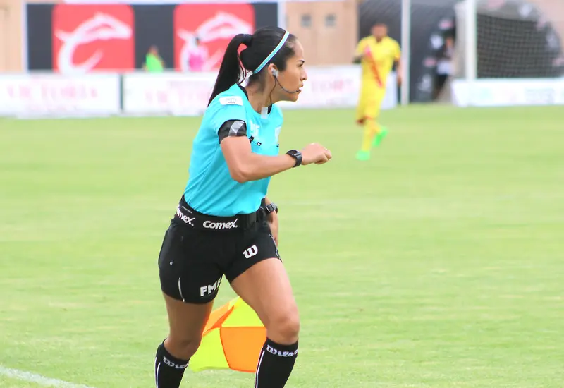 Nuevamente tuvo actuación en liguilla
