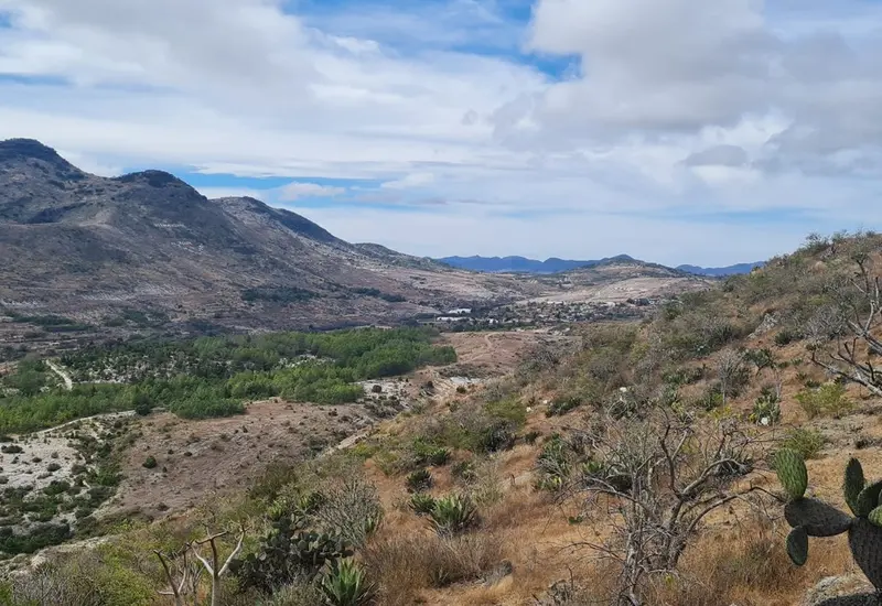 Las bajas temperaturas persistirán en los primeros días del 2025.