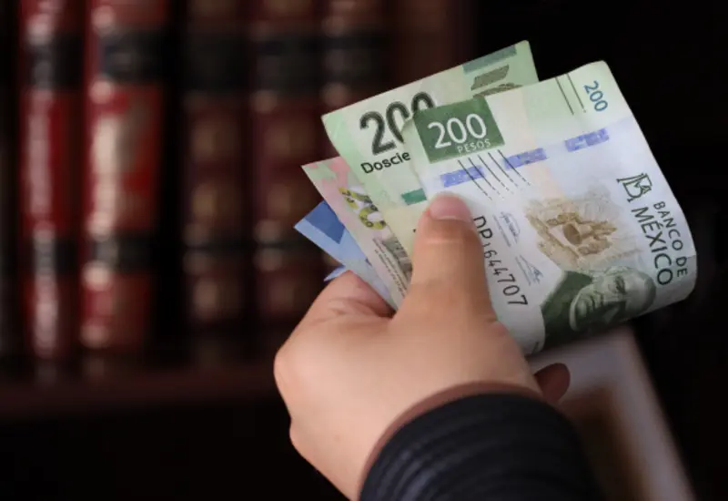 dinero-mexico-oaxaca