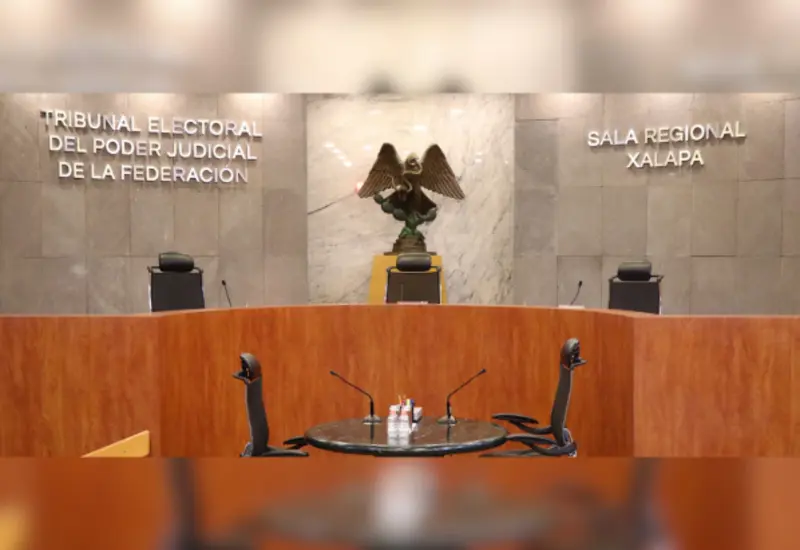  El edil no aportó elementos de prueba suficientes para desvirtuar las conductas que se le atribuyen.