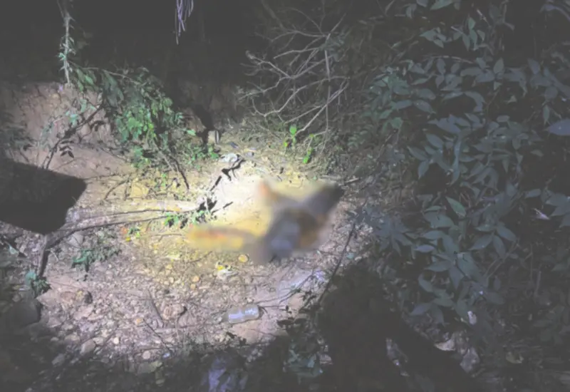 Un hombre fue asesinado en el camino de terracería de la bomba en Santa María Colotepec.