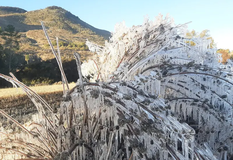 El frío se intensificará y afectará a 90 municipios de la Mixteca.