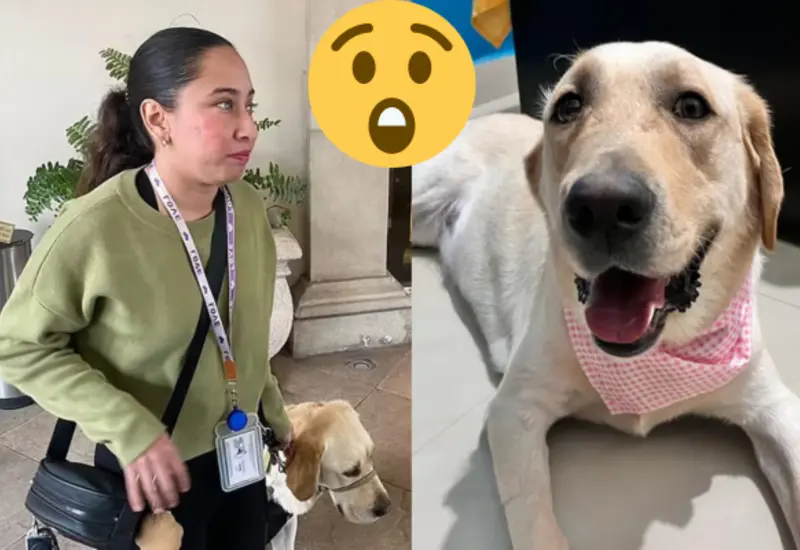 niegan_acceso_persona_discapacidad_perro