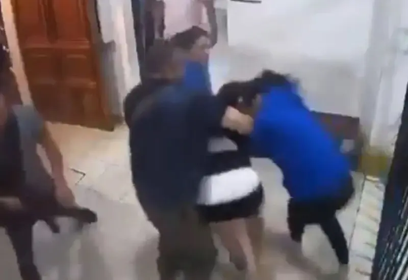 pelea