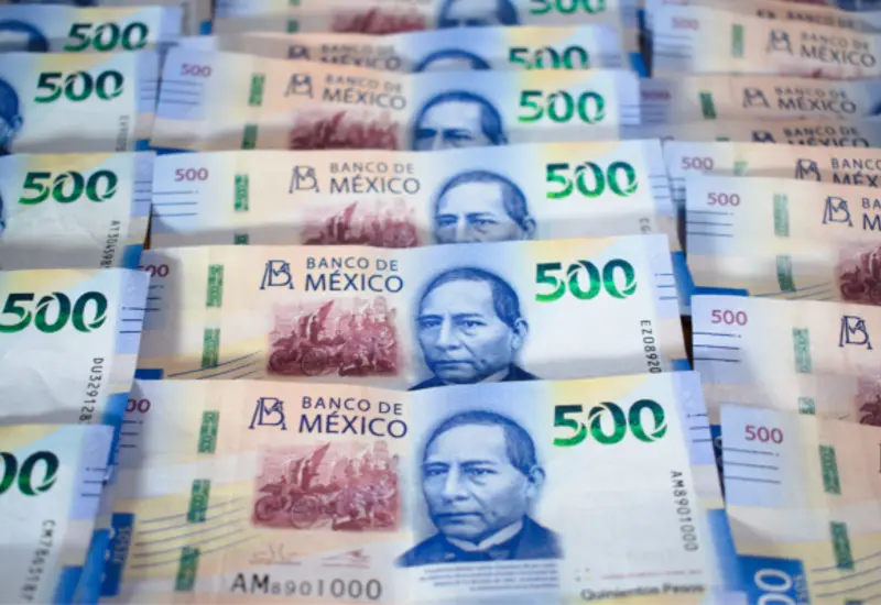 peso-mexicano-dinero-oaxaca-nvi