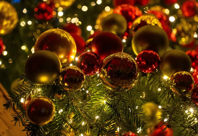 navidad