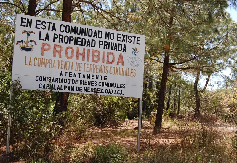 Defensores comunitarios de Capulálpam han sido denunciados por un supuesto intento de secuestro