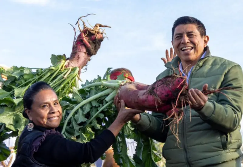 rabanos_oaxaca