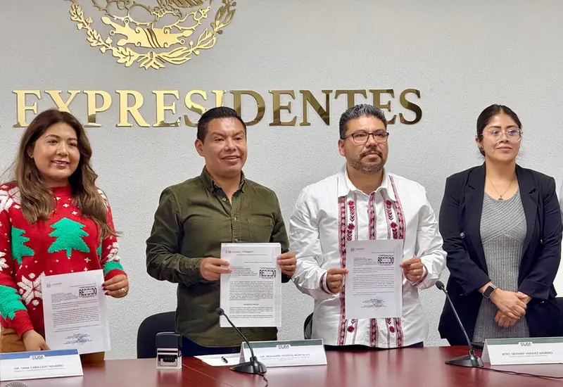 El proyecto de decreto se entregó a la LXVI Legislatura del Congreso de Oaxaca para homologar la legislación local con la federal.