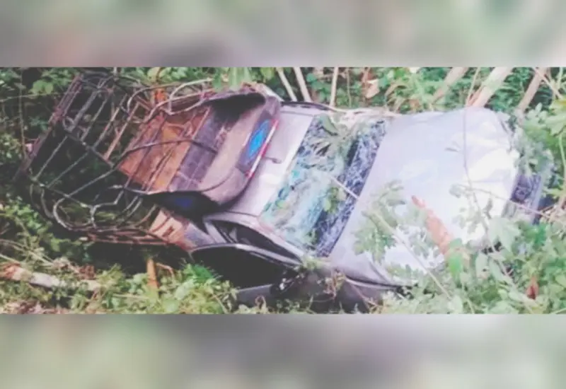 El conductor de la camioneta perdió el control y terminó en un barranco en la carretera Matías Romero-Palomares.