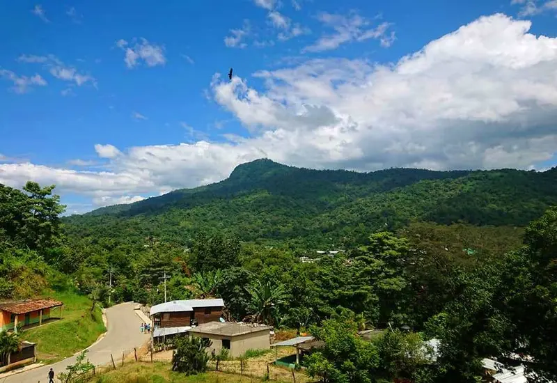Lugar de los hechos