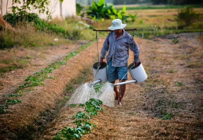 agricultura-apoyos