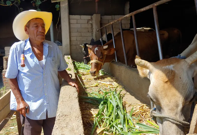 agropecuaria-oaxaca