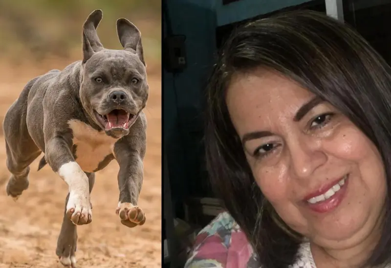 defensora_muere_atacada_sus_pitbull