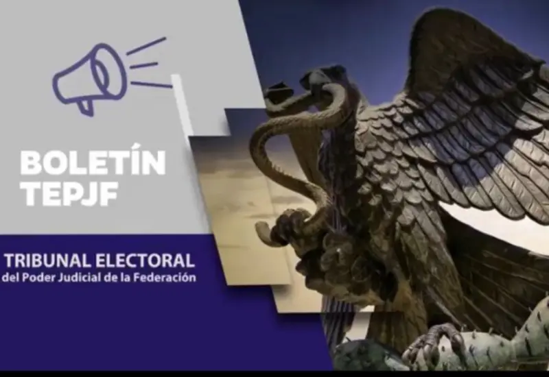 boletin-tribunal