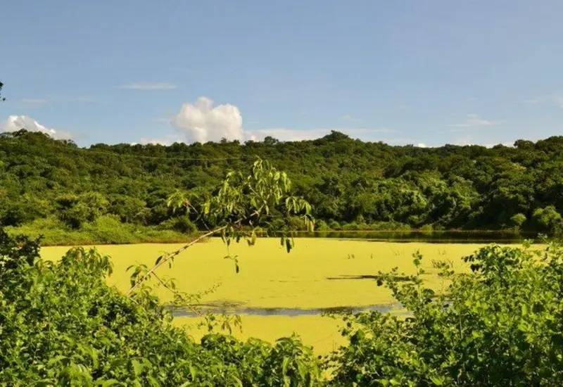 campo_golf_fonatur_huatulco_oaxaca