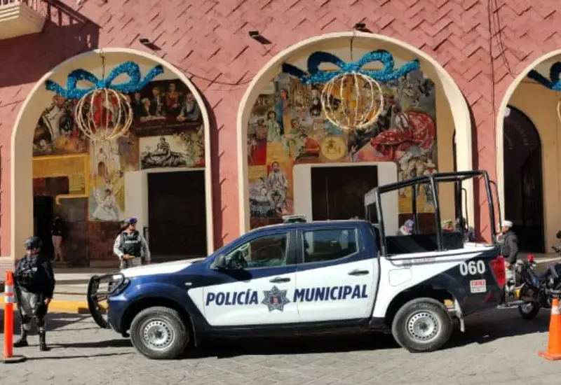 cateo-portada