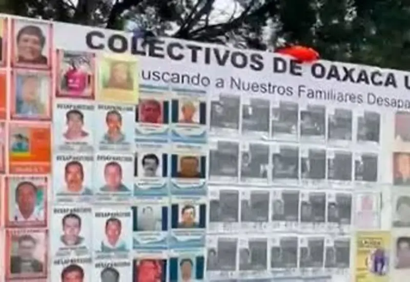 colectivos-busqueda